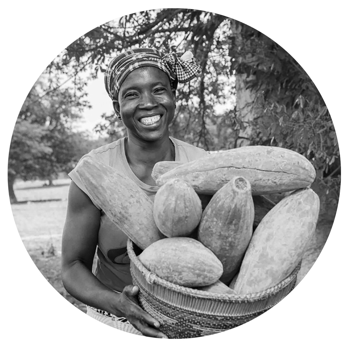 Baobab - from one mother to the other